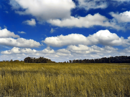 Cumulus Humilis Clouds. Photo: PiccoloNamek [CC BY-SA]